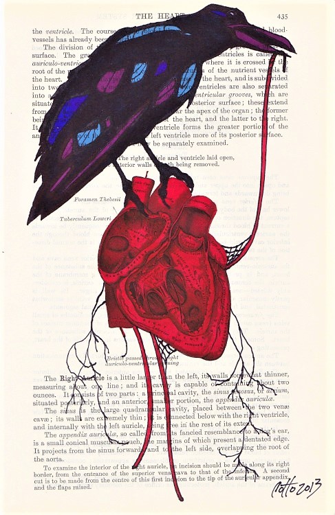 juliocotto - Birds & Bones by Julio Cotto Rivera. Copyright...