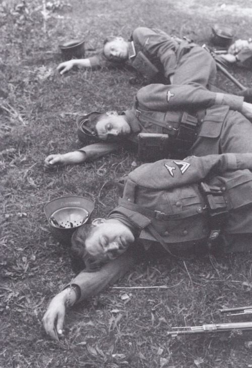vaguedacier - Leibstandarte soldiers taking a nap during...