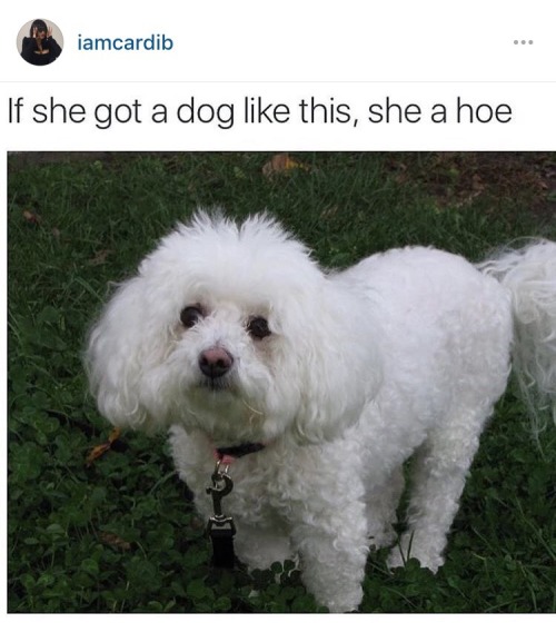 thottness:cumnog:my grandma has a dog like this….Ya...