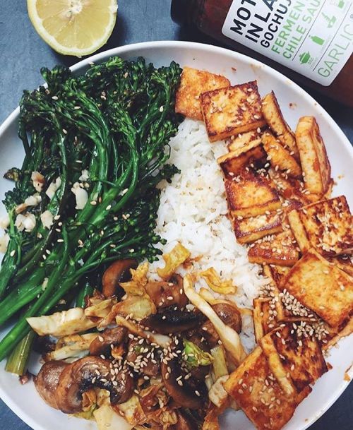 seekingunitynpeace:Flashback dinner pic! Tofu: marinaded in...