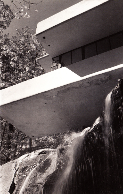 theimportanceofbeingmodernist - Chasing Waterfalls - Fallingwater...