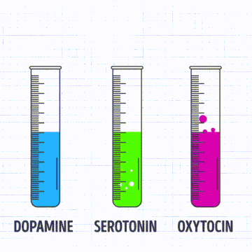 Resultado de imagen para gif serotonina