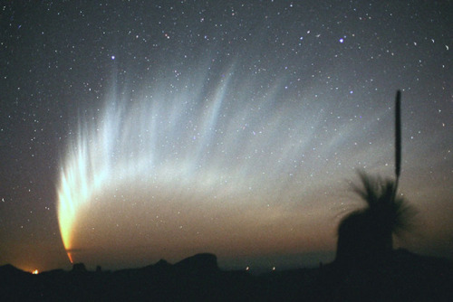 photos-of-space - Comet McNaught, the Great Comet of 2007 - photo...