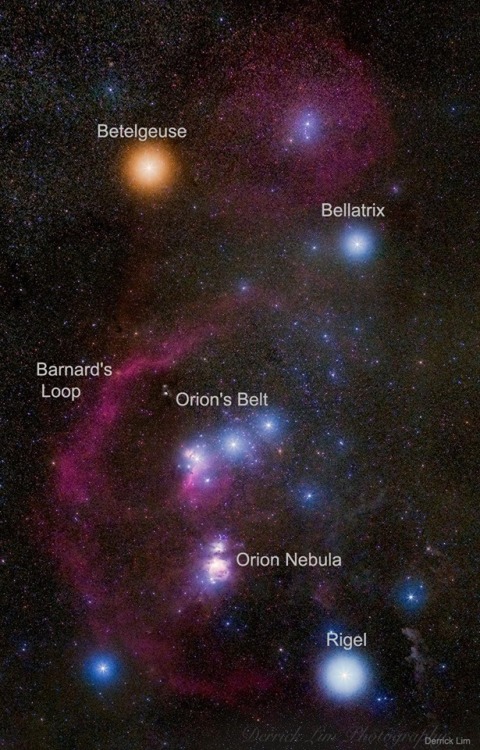 looking-at-the-universe - Orion constellation