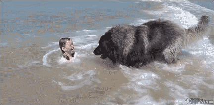 4gifs:To the rescue! [video]