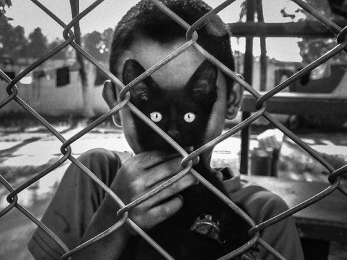 semioticapocalypse - Arek Rataj. Cat’s Eyes. San Pedro Sula,...