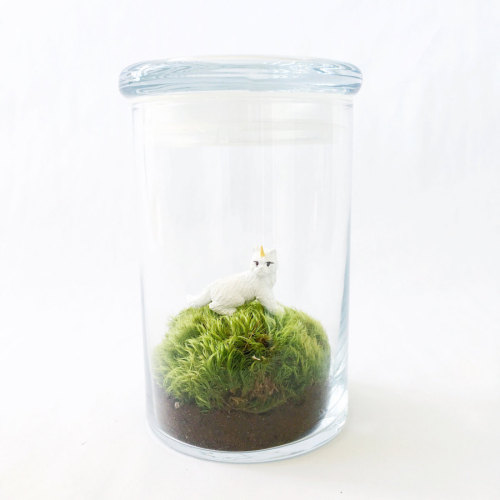 mymodernmetselects - DIY Kits Add Some Delightful Whimsy to...