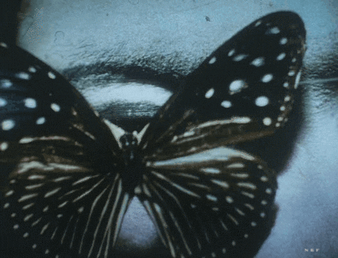 nobrashfestivity -  Shuji Terayama, Butterfly, 1974