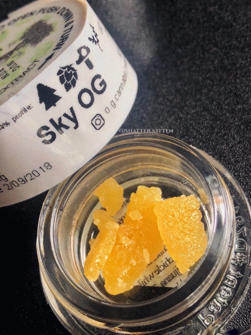 shatterkitty - Sky OG to your left and meat breath to your...