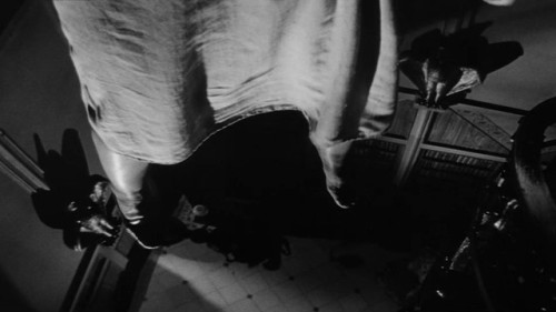 spine-tinglers - The Haunting (1963) dir. Robert Wise