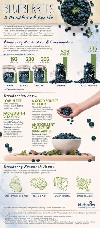 fullyhappyvegan - Blueberries and their benefits!