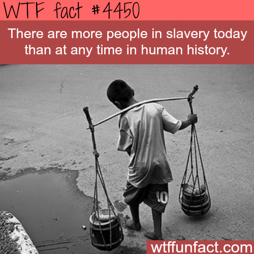 wtf-fun-factss - Modern day slavery - WTF fun facts