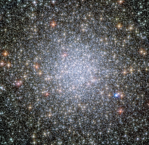nasa:Say hello to globular cluster 47 Tucanae This glittery...