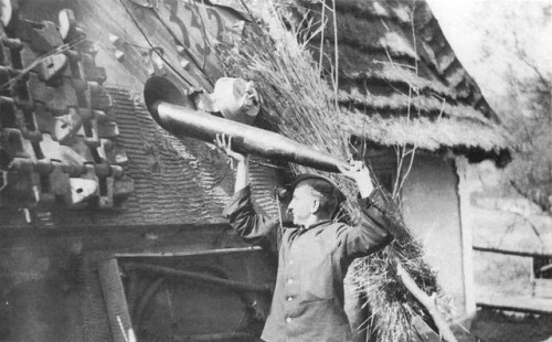 panzerfluch - A German soldier feeds an Elefant in Russia.