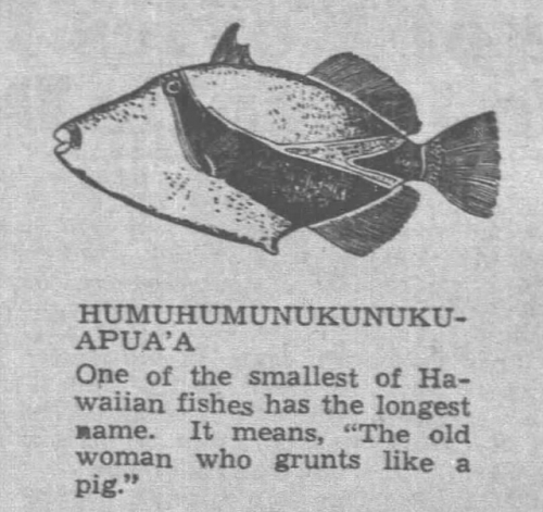 yesterdaysprint - Honolulu Star-Bulletin, Hawaii, July 11, 1943