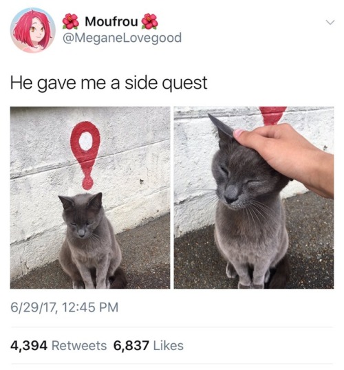 froborr:Quest acquired: Pet the kitty!Requirements: Pet the...