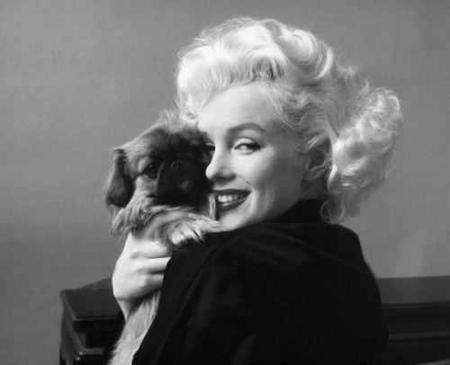 wehadfacesthen - Marilyn Monroe with friend, 1955