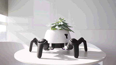 solarpunk-aesthetic:This adorable little robot is designed to...