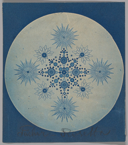 met-photos - [Frustules of Diatoms] by Julius Wiesner, The Met’s...