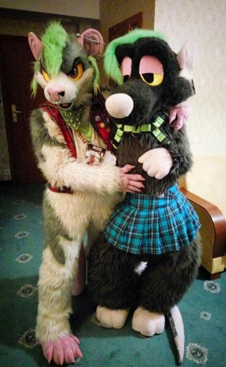 fursuitpursuits - RT @Meoxie - #Worldratday is everyday here - D...