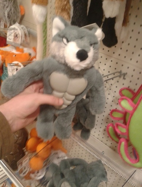 woodrider - My bf found this in the “dog toys” section…