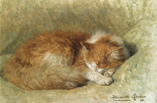 laclefdescoeurs:A Sleeping Cat, 1898, Henriëtte Ronner-Knip