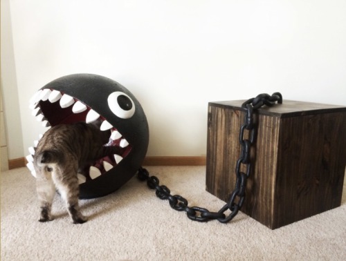 kassidoubledd - isquirtmilkfrommyeye - A Chain Chomp cat bed...