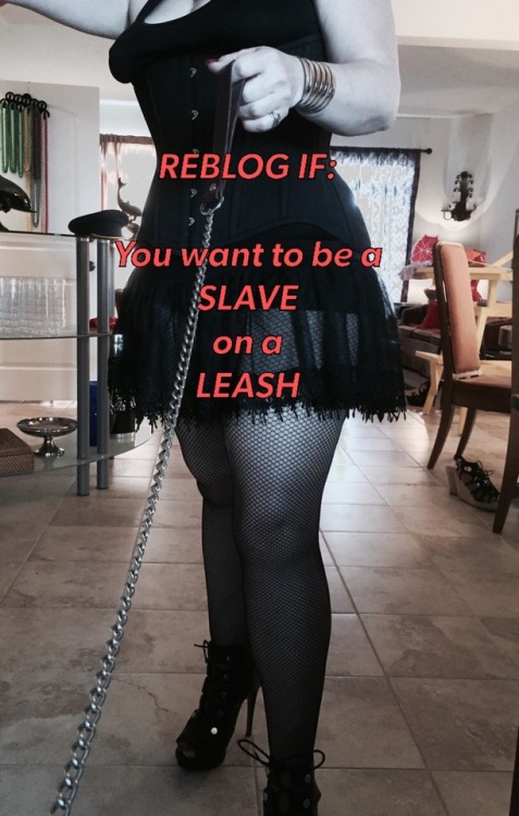 promommy:ALL SLAVES belong on a leash!