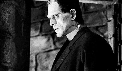 classichorrorblog - FrankensteinDirected by James Whale (1931)