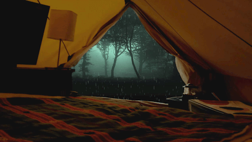 guywashman - We need to go camping…
