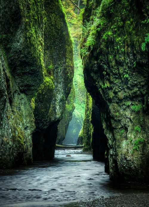 lori-rocks - Columbia River Gorge in Oregon, USA… by Brian Bonham
