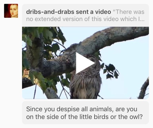 disgustinganimals - dribs-and-drabs - There was no extended...