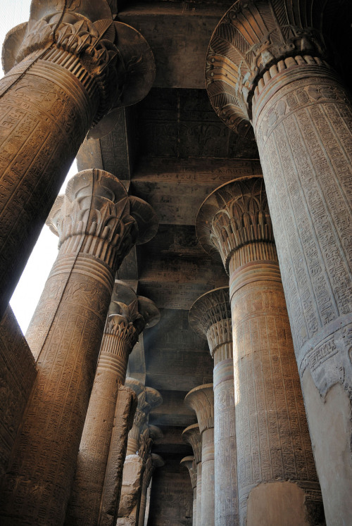 grandegyptianmuseum - Ornate columns within the Hypostyle Hall in...
