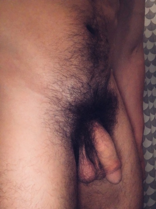 Young Hairy Cock Pics