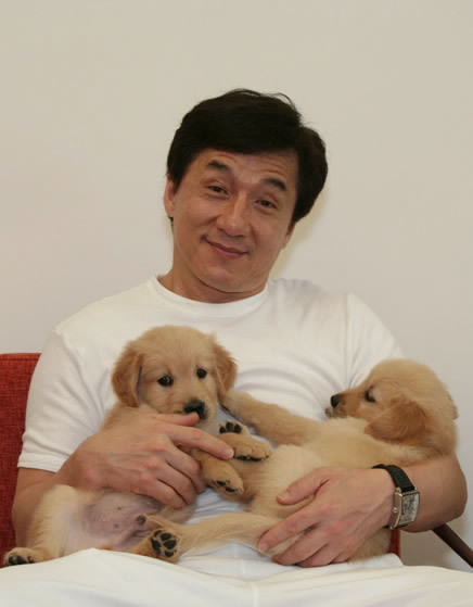 rowantheexplorer - This is the Jackie Chan with Puppers of luck!...