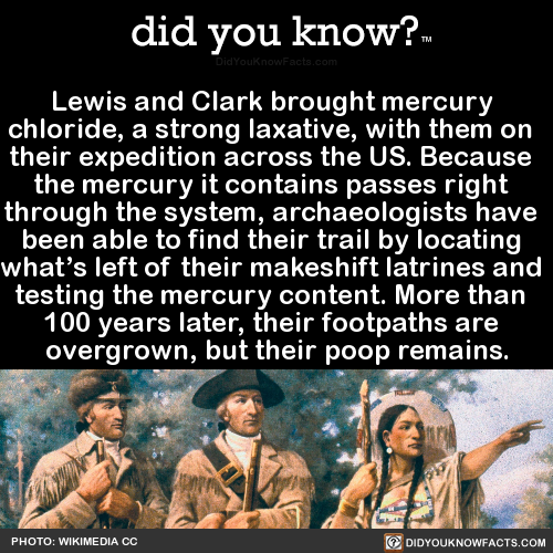 lewis-and-clark-brought-mercury-chloride-a