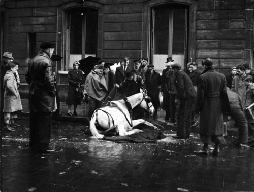 federer7:Le cheval tombé, Paris, 1942Photographie par Robert...