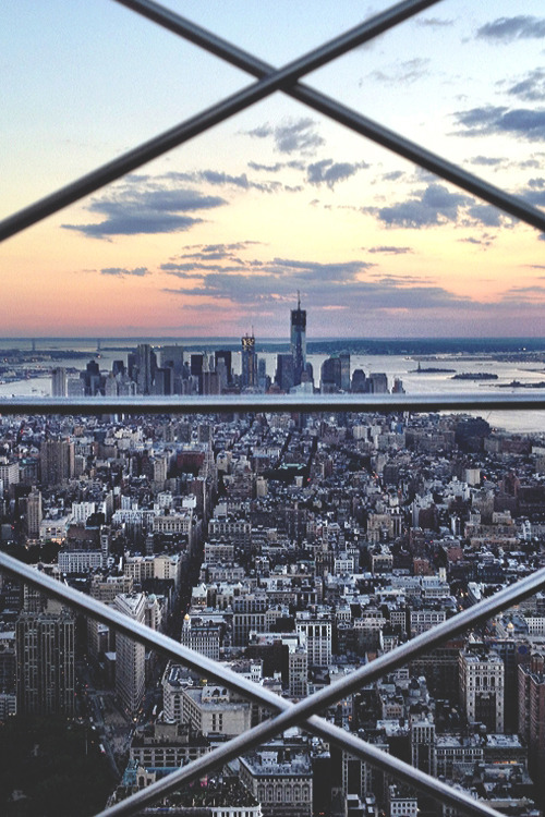 Freedom Tower from the Empire State Building by Tatyana