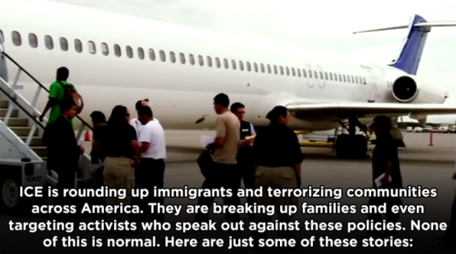 mediamattersforamerica - The stories of ICE terrorizing people...