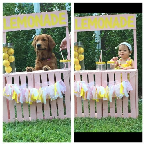 cute-overload:My niece is having a “Lemonade Stand” 1st...