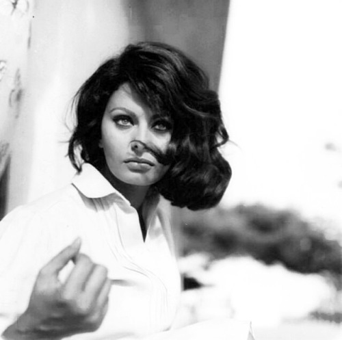 wehadfacesthen - Sophia Loren, 1964