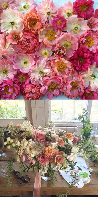 culturenlifestyle - A Peek Inside the Life of a FloristFlorist...
