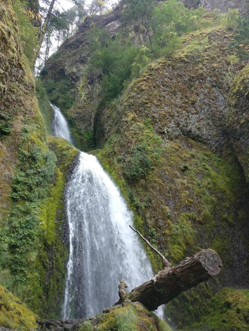 earthporn - Waterfall - Wahkeena Falls Oregon [OC] [3480x4640]...