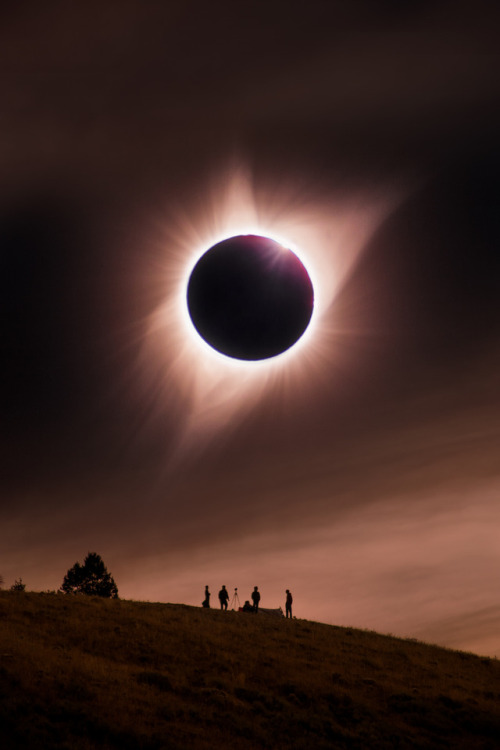 Eclipse for c language