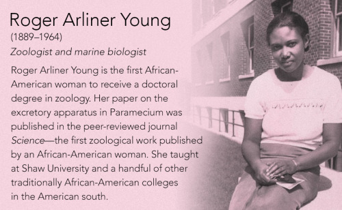 elvisomar - Roger Arliner Young(1889–1964) Zoologist and marine...