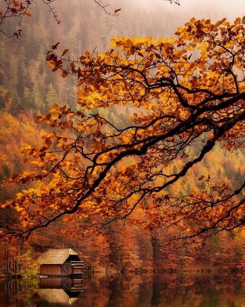 autumncozy:By sandrahapunkt