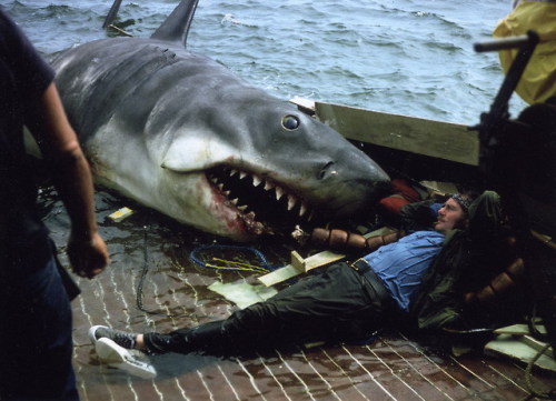 talesfromweirdland - A serene moment on the set of JAWS (1975).