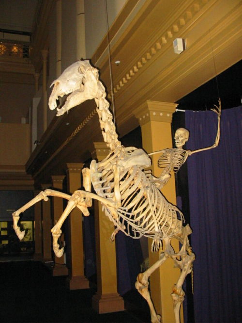 tresubresdobles - Una de esqueletos diversos.