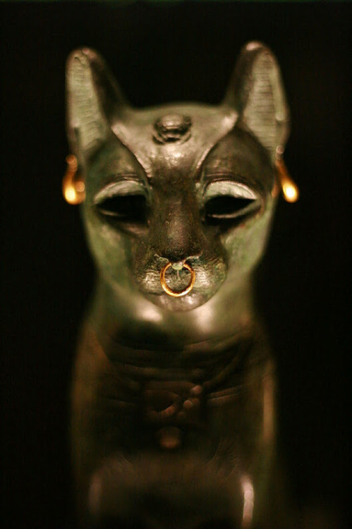 grandegyptianmuseum - Figure of goddess Bastet aka Gayer-Anderson...