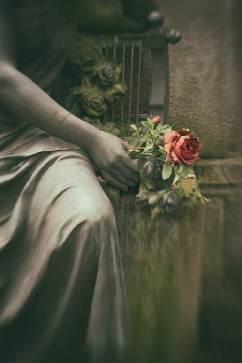 medieval-woman - Red Rose - Waldfriedhof Cemetery by Suzanne